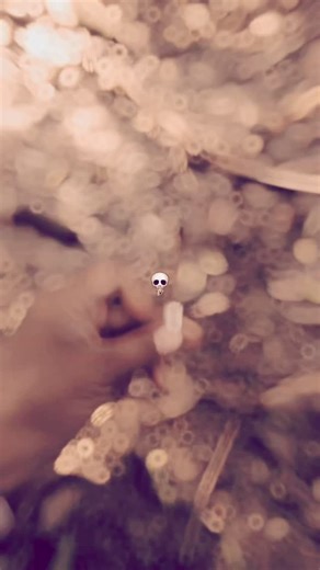 nikhil lohia on Instagram