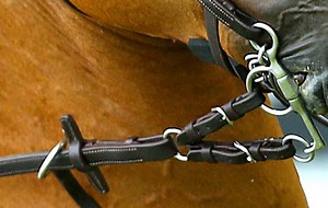Bit connector offers alternative to pelham roundings | Horse & Hound