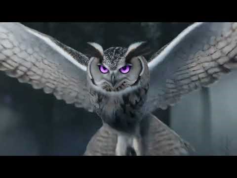 Titan Solutions - Digital Branding Logo Reveal