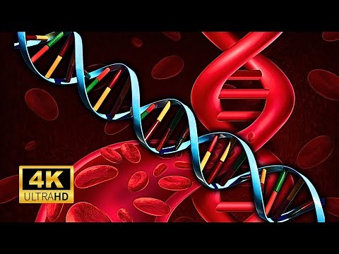 DNA Replication In 3D 4K ANIMATION!