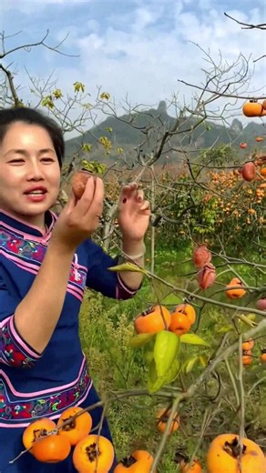 189K views · 2.6K reactions | Tried dried persimmon before? 李 | Fruit Farm | Facebook