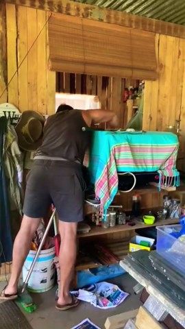 Rescuing The Worlds Deadliest Tree Snake ( Boomslang)