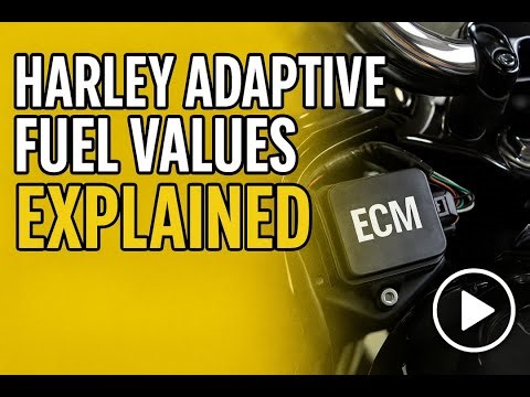Your Harley’s ECM Is Smarter Than You Think – Here's How It Learns