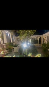 14K views · 1.5K reactions | Sognavamo di addobbare per il Natale il #GiardinoDiLife ma chissà forse ci riusciremo nel Natale 2026……. Per ora abbiamo creato un’atmosfera natalizia per il ns ingresso ospiti e zona #PatioDiNonnaGin Buona immacolata dal #RayParadise | Colonia Felina Brindisi ODV | Facebook