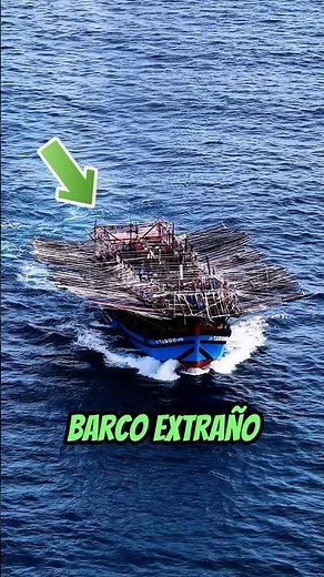 The strange SHIP that catches treasures of the sea! 🚢