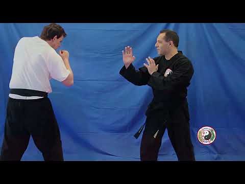 Kempo Karate White Belt Techniques