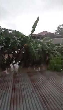 Help My Family Recover from Typhoon Penha