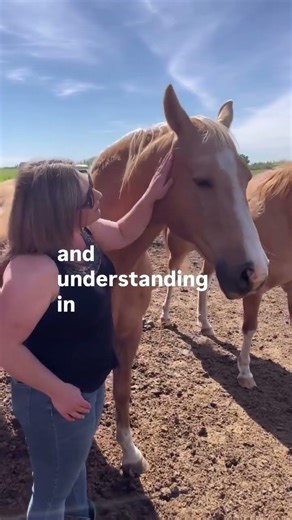 How Do You Start A Horse Career This Month?