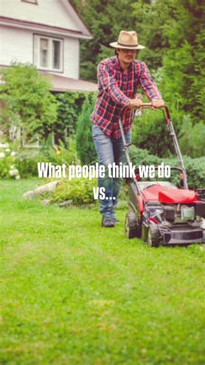 Back Yard Planning - Alabama Landscape Design