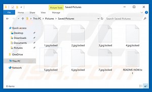 LockerGoga Ransomware