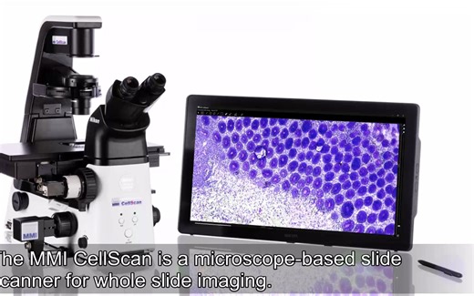 MMI CellScan高分辨率扫描系统，标记样品位置并导入激光显微切割系统