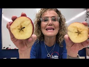 Third Grade, Life Science, Lesson 1