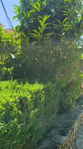 7.3K views · 184 reactions | Daca vrei să vizitezi la 3 ore de București o zonă superbă, încărcată de istorie și cu o mare albastră aproape ca cea din Grecia, trebuie să ajungi la Balcic cu faimosul Castel al Reginei Maria și Gradina Botanica. #balcic #bulgaria #bucuresti #bucharest | Bucharest Nights & Days | Facebook