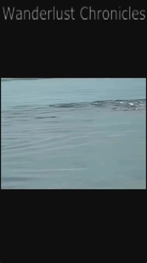 119K views · 3K reactions | Real footage of the Loch Ness monster  #lochnessmonster #kingkong #ct #mythicalcreatures #megalodon #kraken #fblifestyle | Wanderlust Chronicles | Facebook
