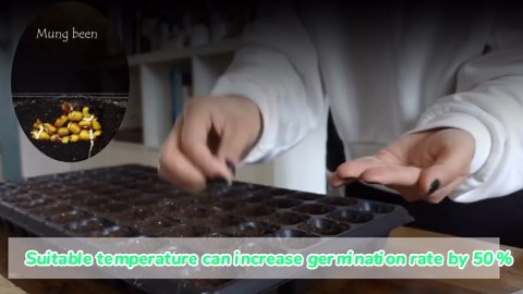 Seedling Heat Mat 4 Pack, MET Certified Heating Mat for Plants Grow Seed Starting Greenhouse, Waterproof Durable Germination Warm Hydroponic Heating Pad