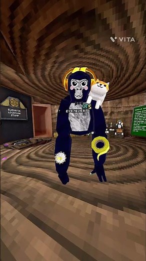 How to get long arms in gorilla tag, on standalone!