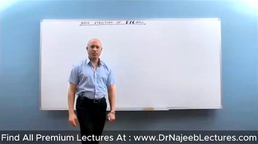 Eye Anatomy | Human Eye Ball | Structure and Function #drnajeeb #medicines #medicaleducation #pharmacology #humaneye #eyeanatomy | Dr. Najeeb