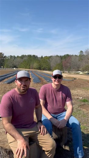 Weekday Farm Camp is back! 🌿 A full week on the farm for kids to unplug, get outside, and have the kind of summer we remember—hiking, crafts, games, scavenger hunts, and farm garden learning. Ages 6–11. Spots are limited. 💛 ￼ Weeks: June 15–19 • June 22–26 • June 29–July 3 • July 6–10 Hours: 9–4 (extended hours available) https://www.ivyplace.com/camps | The Ivy Place Berry Farm