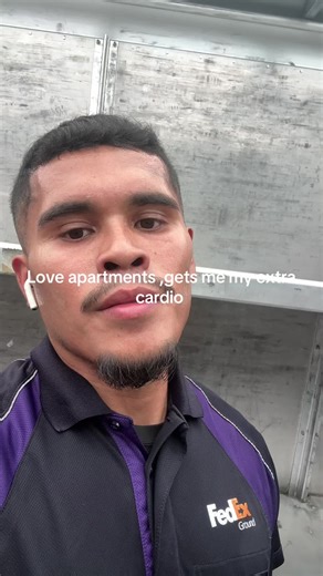 FedEx Driver Experience: Insights and Responsibilities