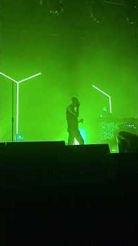 SISTER OF MERCY - 2025 #sisterofmercy #live #nantes #2025 #livemusic