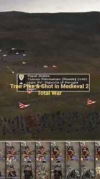 True Pike & Shot in Medieval 2 Total War #totalwar #medieval2totalwar #pike&shot #warfare
