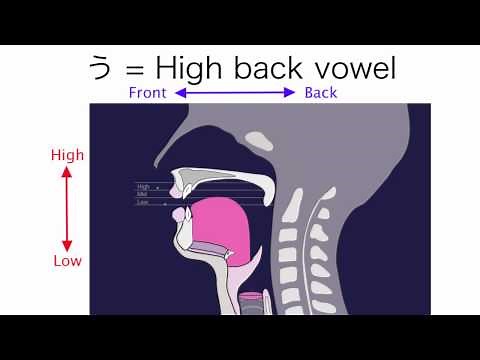 How to Pronounce Japanese Vowels