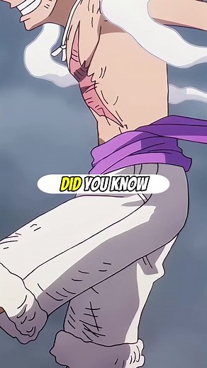 Luffy & Zoro: The Stories Behind Their Scars
