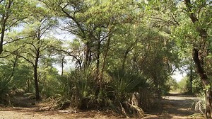 Africké cesty - ČT edu - Česká televize