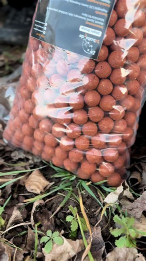 Da werden die Orange in 20mm von @bt_baits für die Wintersession am Kanal vorbereitet😋 Geht ihr bei den Temperaturen ans Wasser?🎣 #boiliesfishing #carpfishing
