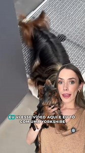 O banheiro inteligente para cachorros da Weasy leva o xixi do seu cãozinho direto para o ralo ou um reservatório ecológico (Weasy Bag), caso você não tenha um ralo próximo. 🐶🚽 ⠀⠀⠀⠀⠀⠀⠀⠀⠀ Disponíveis em 3 tamanhos diferentes, o Weasy é uma excelente opção para substituir tapetes higiênicos de forma sustentável e prática! ⠀⠀⠀⠀⠀⠀⠀⠀⠀ Legal, né? 😉 💳 Parcele em até 12x sem juros; 💵 5% OFF no pix; 🚚 Entrega rápida. ⠀⠀⠀⠀⠀⠀⠀⠀ Clique no botão [SAIBA MAIS] e garanta já o seu! | Weasy