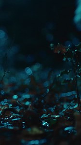 New single ‘Jump in the Line’ - sign up to the Ash mailing list for exclusive access to listen now & watch the video! | Ash