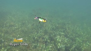 Watch Acme Hyper-Glide Lure in Action! on Amazon Live