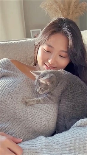 if your cat massages you this is what it really means