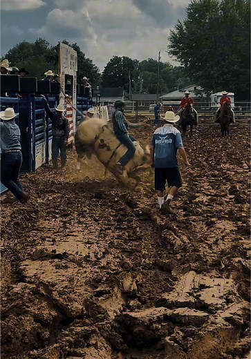 BuckWild Bucking Stock on TikTok