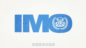 船舶和航运绕不开的组织，什么是IMO？