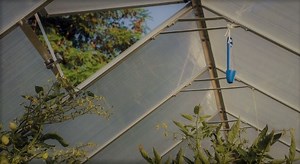 How To Build A Walipini Greenhouse