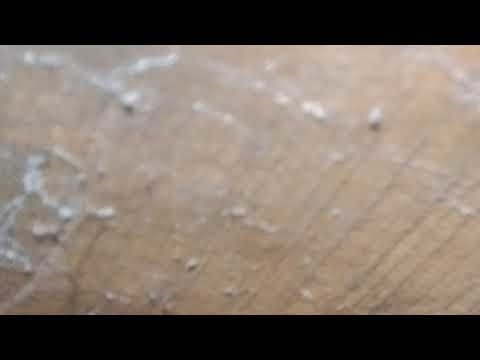 LIVE STREAMING MABAR PUSH RENG TC LETZGO😎#liveff FREEFIREE#DIAMOND