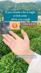 Exercise tai chi daily fully remove root causes and Improve symptoms. Follow for more useful and healthy tai chi practices. #TCM #health #chineseculture #exercise #healthylifestyle #fiveelements #qigong #taichi #crane #heart #exercisetips #fitnessmotivation #WellnessJourney #fitnessinspiration | Yang Style Tai Chi