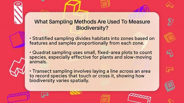 What Sampling Methods Are Used To Measure Biodiversity? - Explaining Ecology