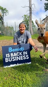 Bemidji is open and ready to welcome you back! Come see what makes our community so special! #BemidjiStrong | Visit Bemidji