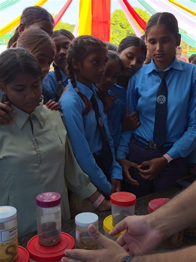 Educating Kids on Snake Awareness