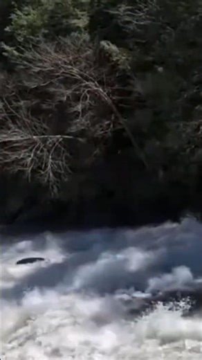 Kayaker Flips Over on Swallow Falls