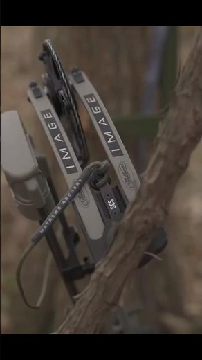 The Mathews IMAGE was and still is a great option for archers ​⁠@MathewsInc #archery #hunting