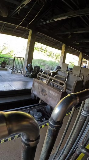 Thrilling Expedition Everest Adventure at Disney's Animal Kingdom!