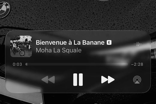 #mohalasquale#newyork#fyp