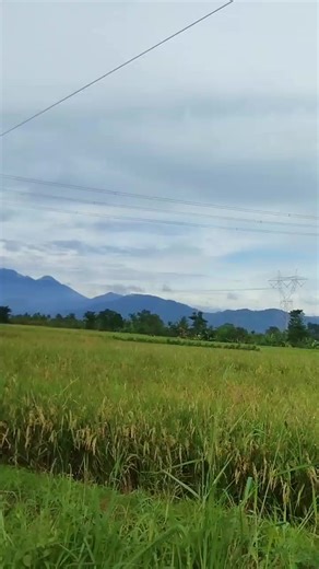 Jasa pendakian gunung gede pangrango| Tempat istirahat| Sewa alat Pendakian|Potter|Guide|pripat room|parkiran|dll.. Yu Sob yang mau Booking pendakian Gn gede pangrango ,Via putri Atau Cibodas 📍 ,Bisa Hub Mimin aja, 081809489481📌 ( 100.00 k ) Sudah Termasuk Ijin Pendakian | Tempat Istirahat | Parkir Motor |free wiffi ( parkir Mobil ) Tidak Termasuk INCLUDE