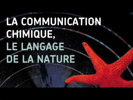 Conférence | La communication chimique, le langage de la nature
