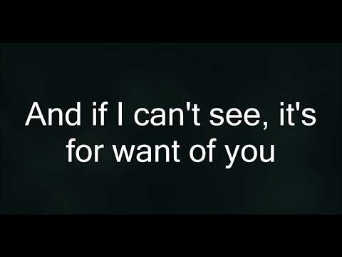 Rites Of Spring - For Want Of lyrics