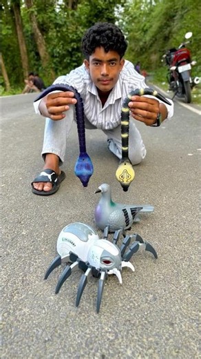 Bird And Rc Snake Vs Remote Control Spider Unboxing Tasting 😱