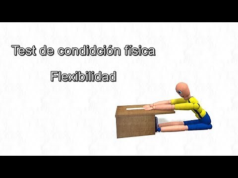 TEST DE FLEXIBILIDAD - EL CAJÓN